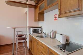 Апартаменты Kiev Accommodation on Mihailovska street Киев Стандартные апартаменты-21