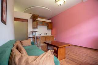 Апартаменты Kiev Accommodation on Mihailovska street Киев Стандартные апартаменты-30