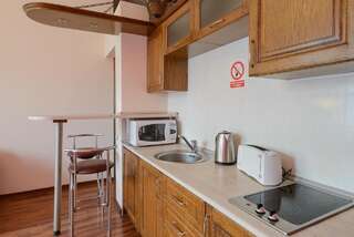 Апартаменты Kiev Accommodation on Mihailovska street Киев Стандартные апартаменты-7