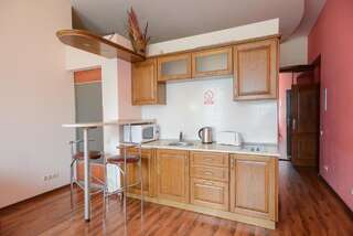 Апартаменты Kiev Accommodation on Mihailovska street Киев Стандартные апартаменты-8